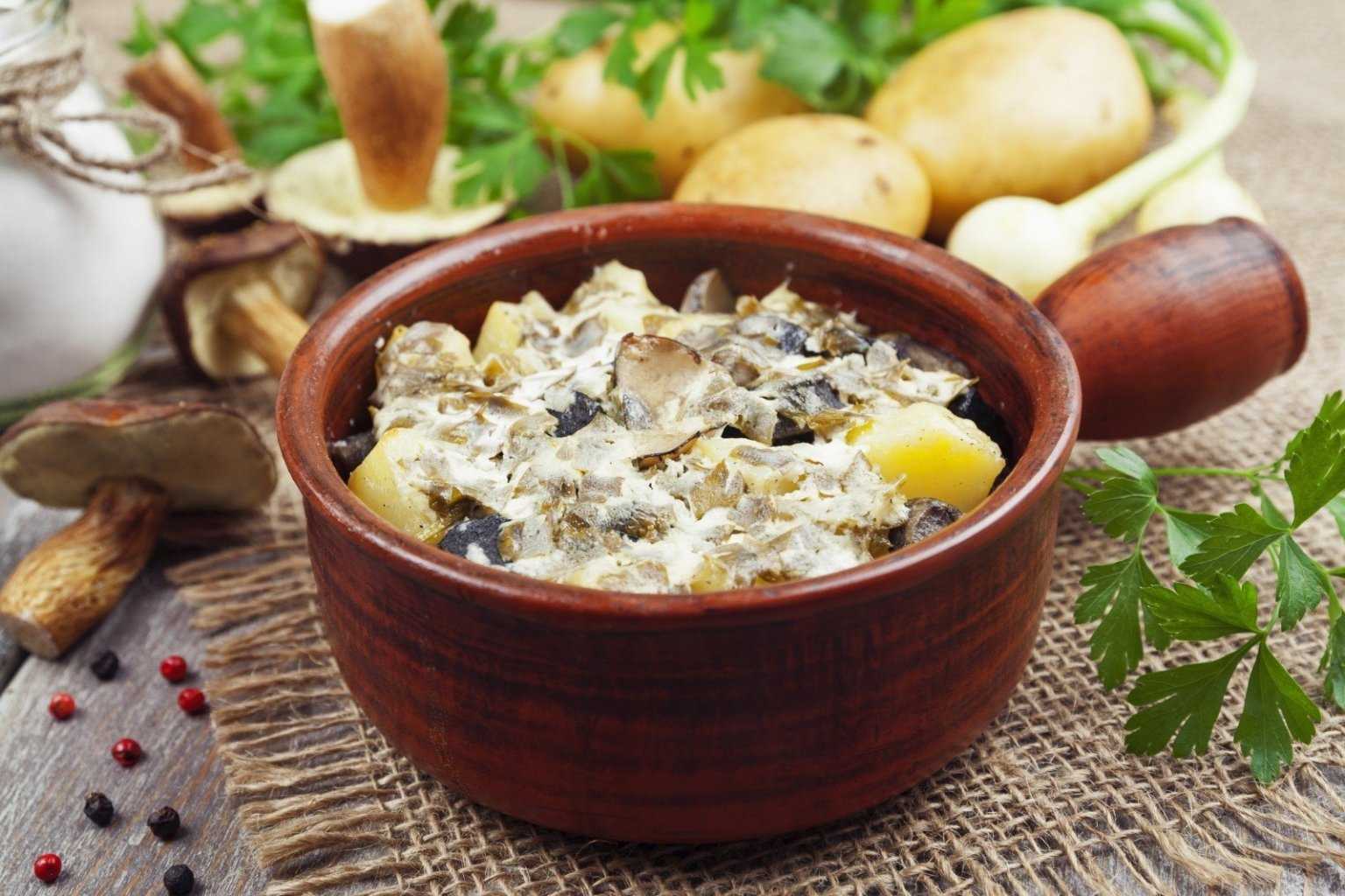 Жульен с курицей и грибами — 6 вкусных пошаговых рецептов