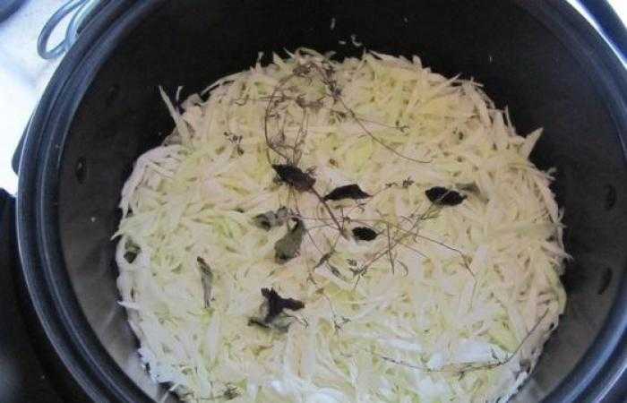 Бигус из квашеной капусты с рисом рецепт