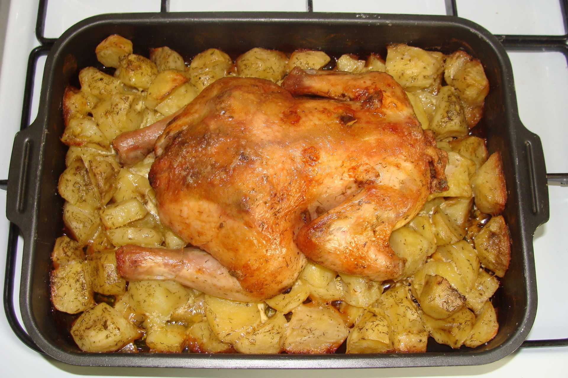Курица на соли в духовке - приготовление на противне целиком. рецепты курицы, запеченной на соли в духовке