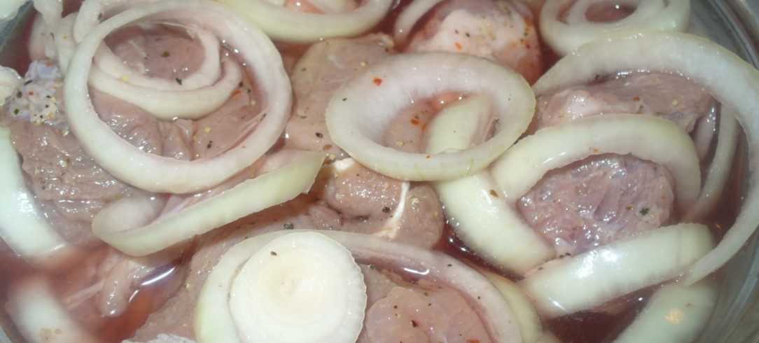 Маринад для шашлыка из свинины — 17 рецептов, чтобы мясо было мягким и сочным