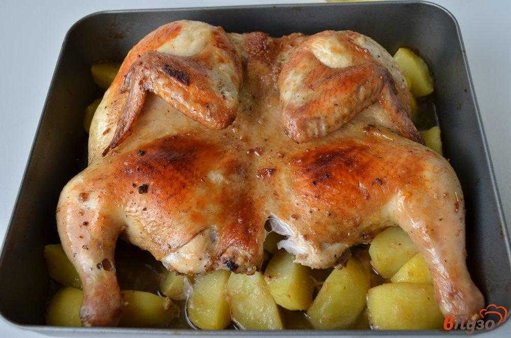 Замариновать бедра курицы. Маринад для курицы в духовке целиком. Маринад для грудки в духовке. Курица в духовке с медом. Курица запеченная с медом и лимоном.