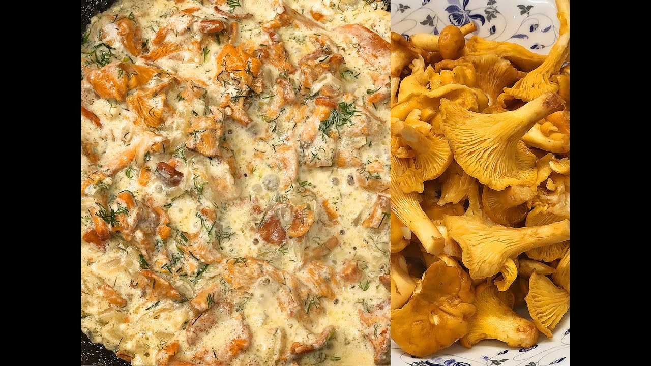 Как быстро и вкусно приготовить грибы лисички — лучшие рецепты