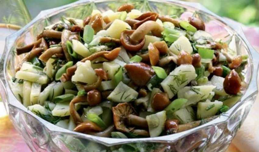 Салат лесная поляна — 9 рецептов простого и очень вкусного слоеного салата с курицей и грибами