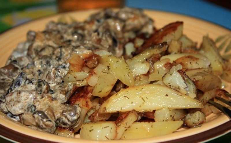 Куриные грудки с грибами в сливочном соусе: топ-3 лучших пп-рецептов