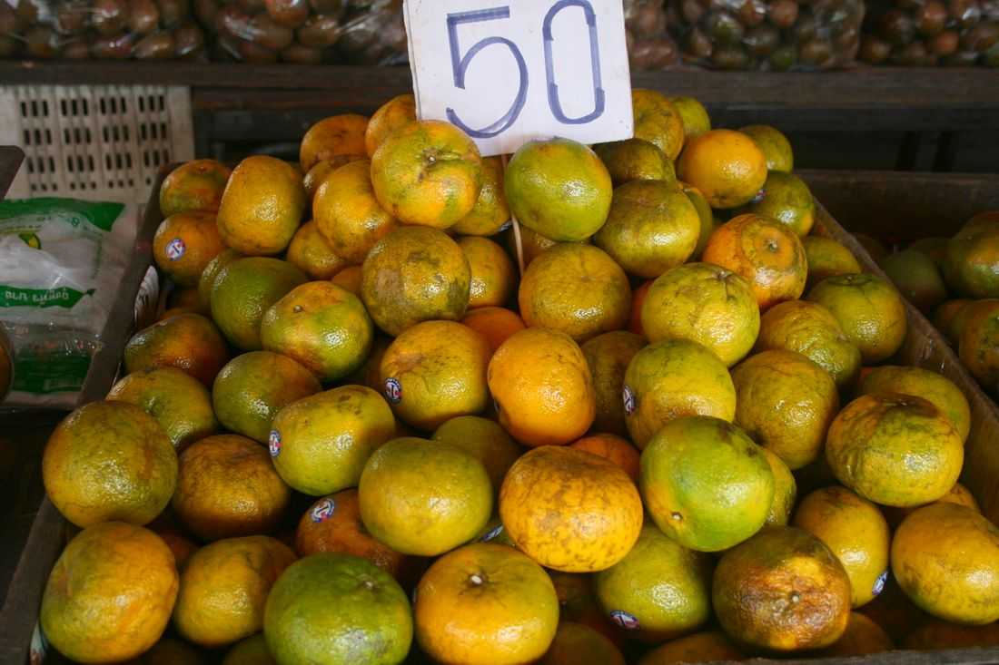20 удивительных фактов об ананасах :: инфониак