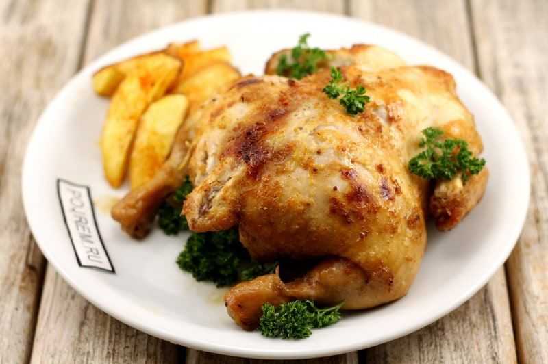 Курица в духовке: самые вкусные и простые рецепты из курицы