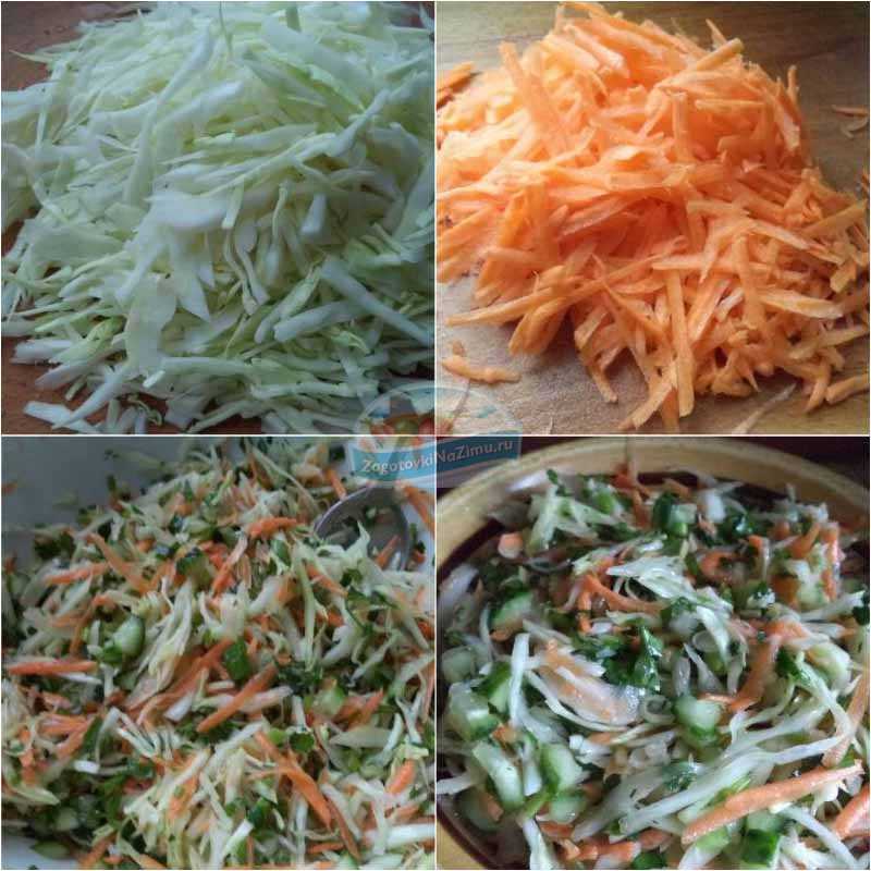Пп салаты с капустой: 15 диетических рецептов для стройной фигуры