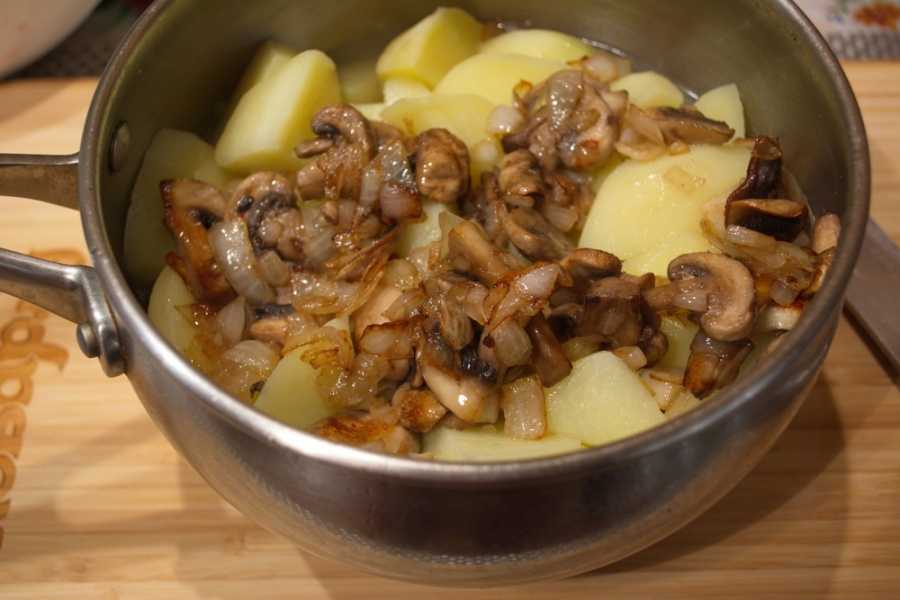 Потушить картошку с мясом в сковороде. Тушеная картошка с грибами. Картофель тушеный с грибами. Грибы с картошкой тушеные в кастрюле. Тушеная картошка с шампиньонами.