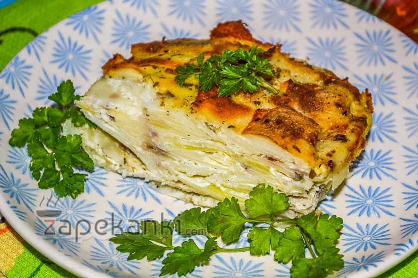 15 быстрых и вкусных рецептов картофельной запеканки