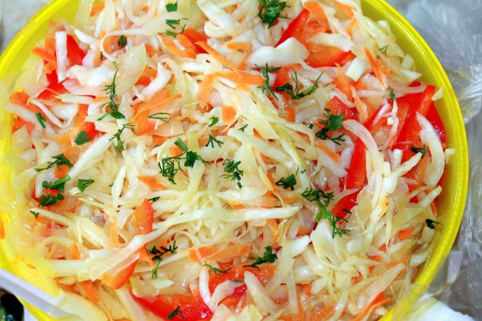 Салаты из капусты с огурцом — пять лучших рецептов. как правильно и вкусно приготовить салаты с капустой с огурцами.